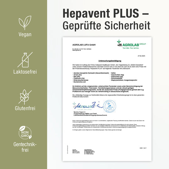 Zertifikatsanalyse Hepavent PLUS - Geprüfte Sicherheit - Vegan, Laktosefrei, Glutenfrei & Gentechnik-frei