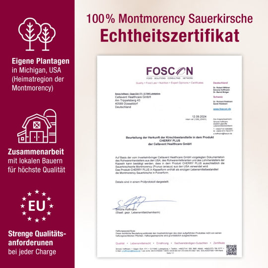 Echtheitszertifikat 100 % Montmorency Sauerkirsche