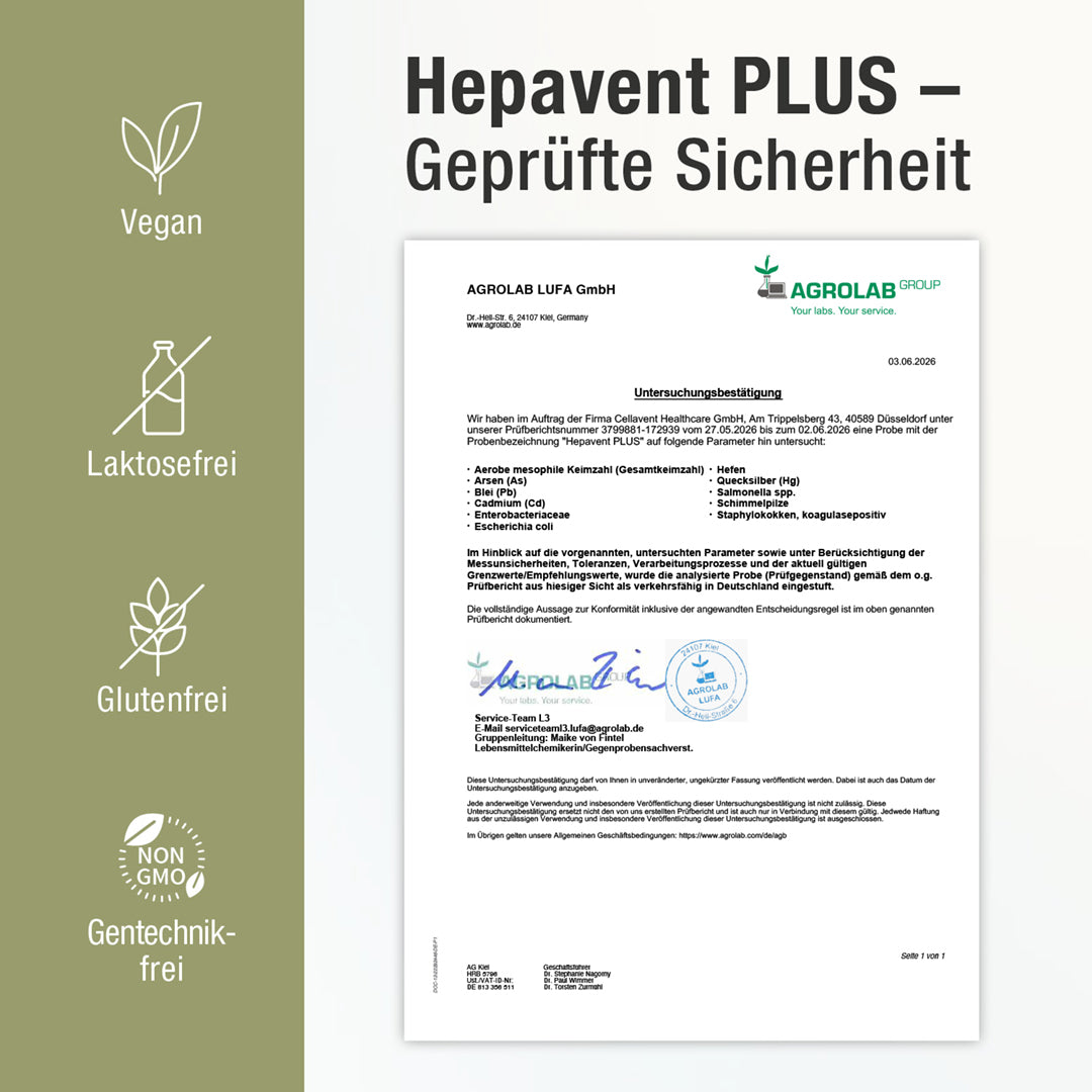 Leberkur Cholin Kapseln - Hepavent PLUS - Cellavent Healthcare