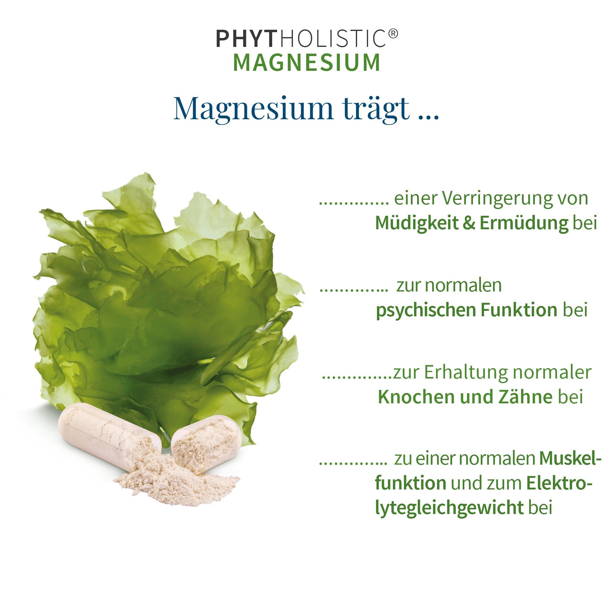 Bio Magnesium Tabletten - Phytholistic Magnesium - Cellavent Healthcare