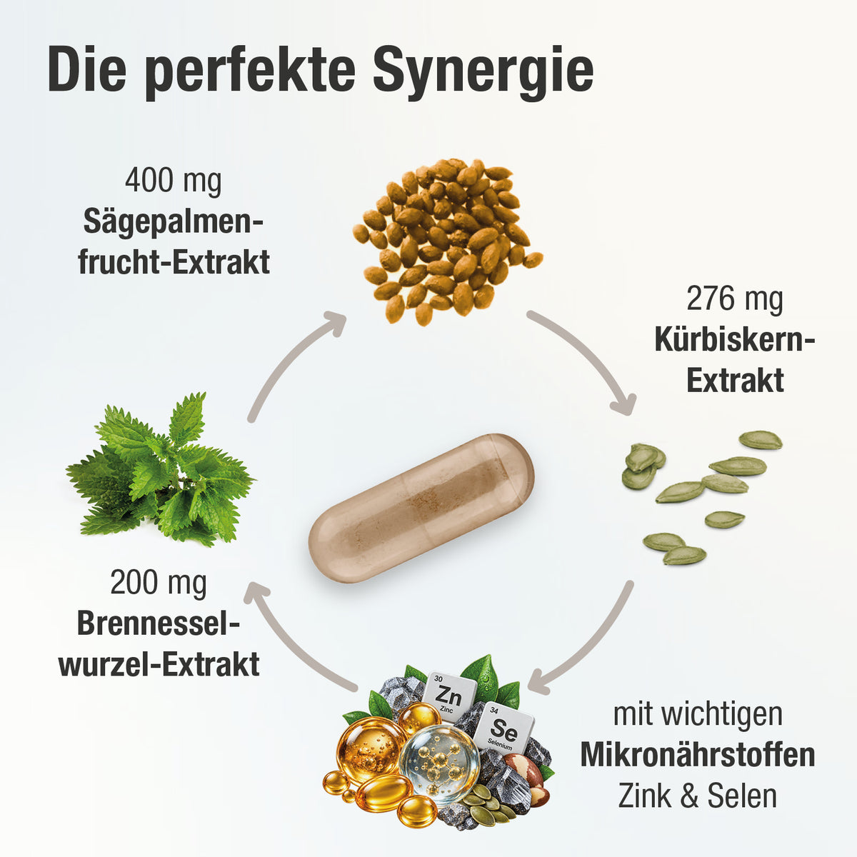 Prostavent PLUS - Nahrungsergänzungsmittel mit Pflanzenextrakten, Zink und Selen