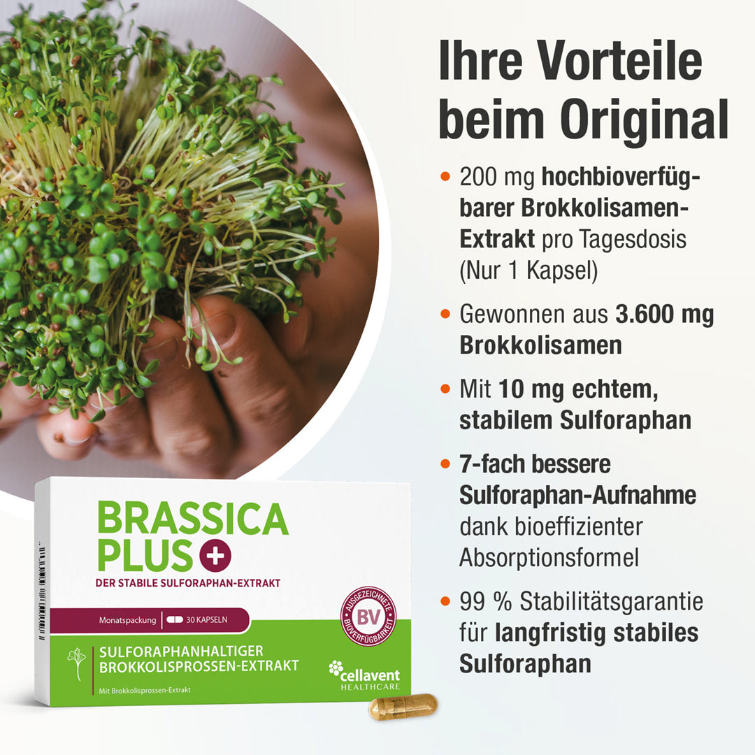 Sulforaphan Brokkoli Kapseln - Brassica PLUS - Cellavent Healthcare