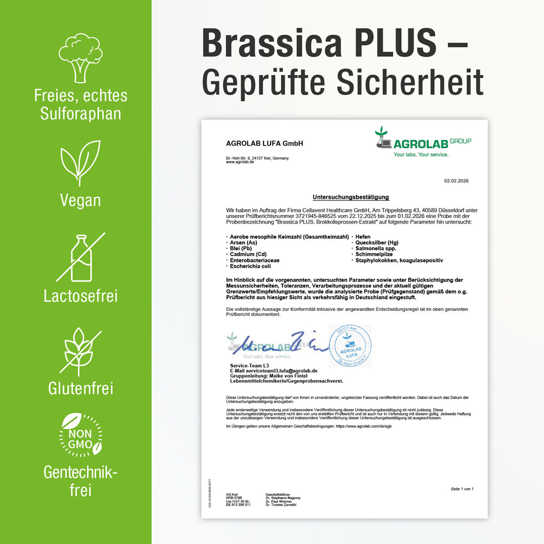 Sulforaphan Brokkoli Kapseln - Brassica PLUS - Cellavent Healthcare