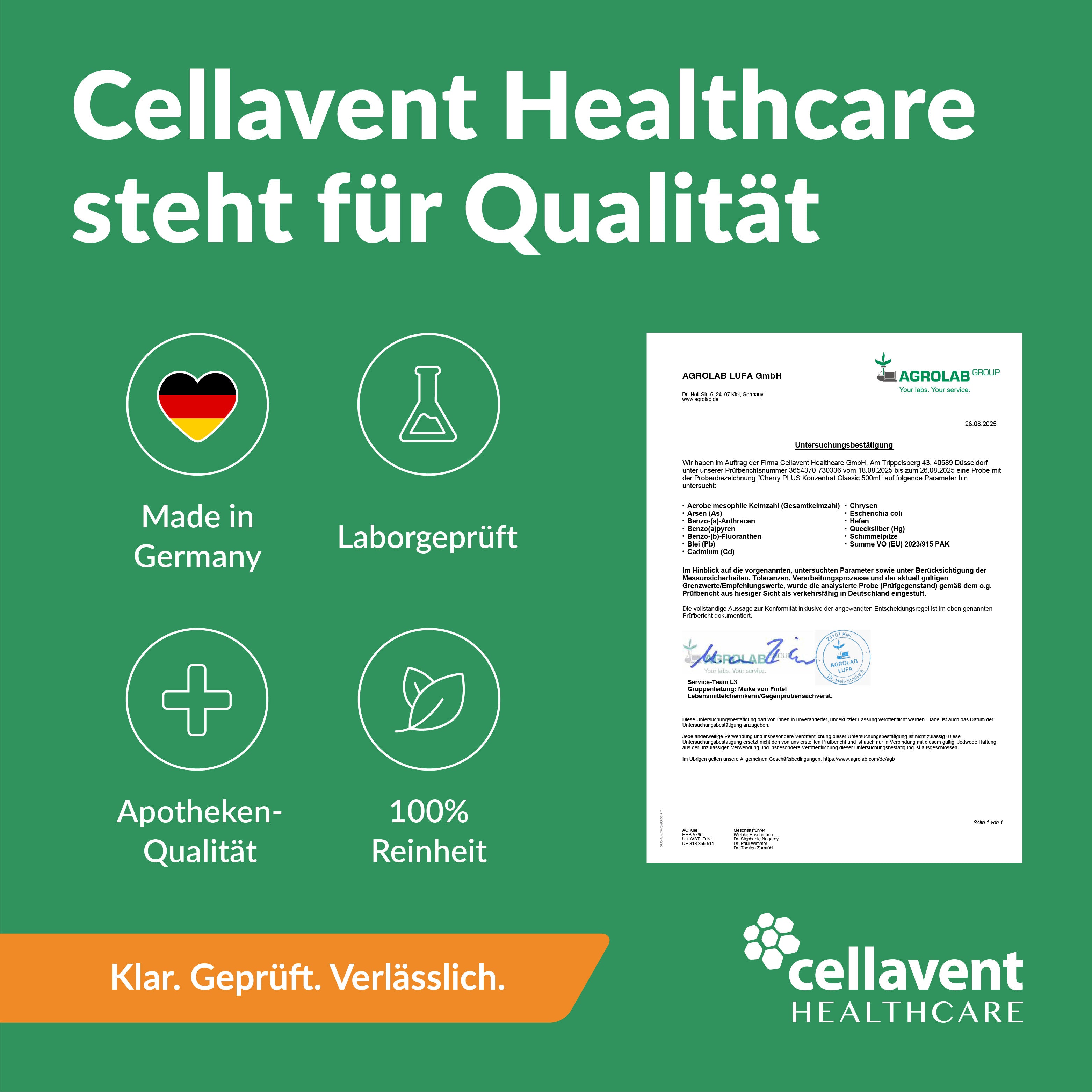 Acurmin PLUS in der Dose - Cellavent Healthcare