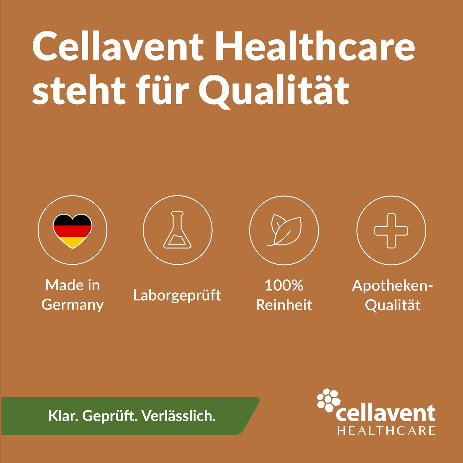 Bio Ingwer Phytholistic - Cellavent Healthcare