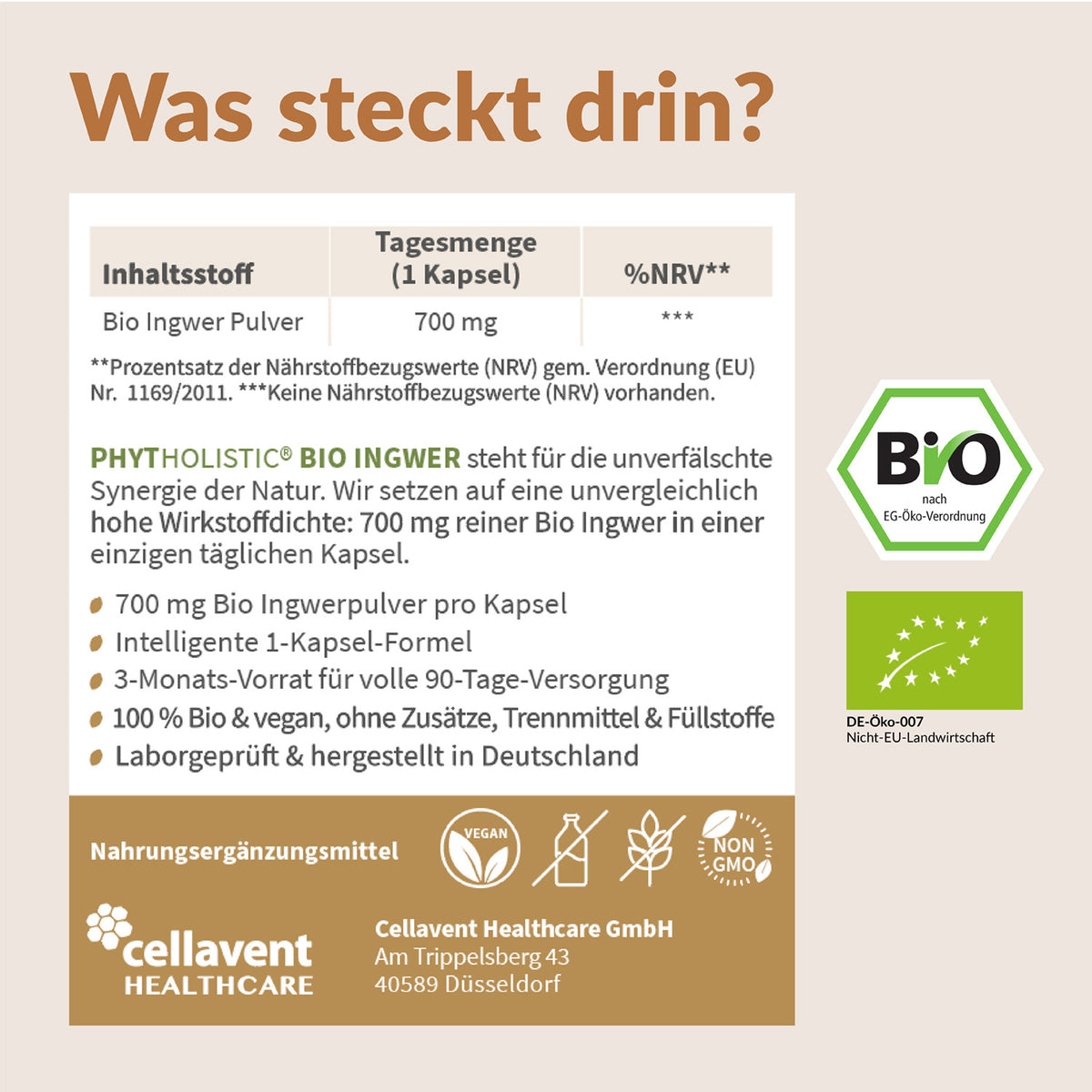 Bio Ingwer Phytholistic - Cellavent Healthcare