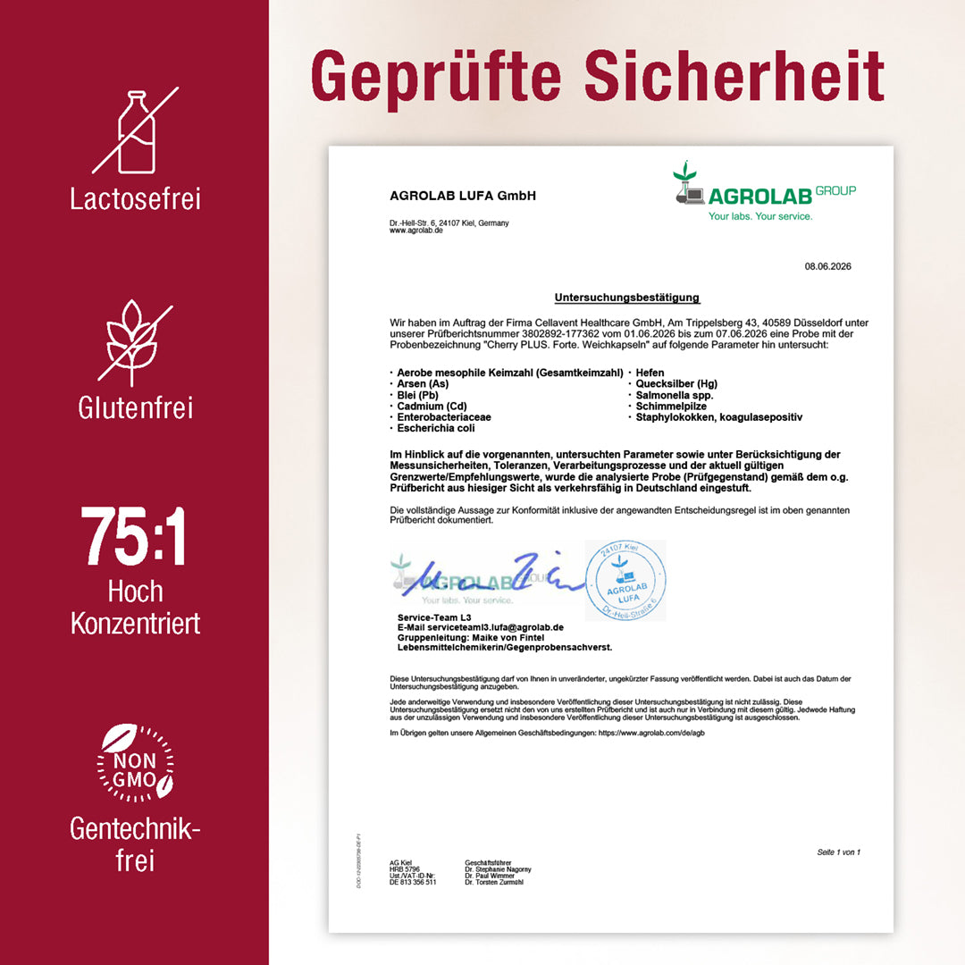 75:1 Montmorency - Sauerkirschextrakt & Zink Kapseln - Cherry PLUS Forte - Cellavent Healthcare