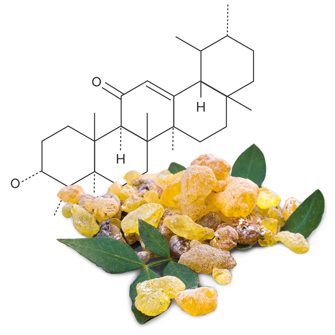 Formel der Boswelliasäure mit dem Weihrauchrohstoff im Vordergrund