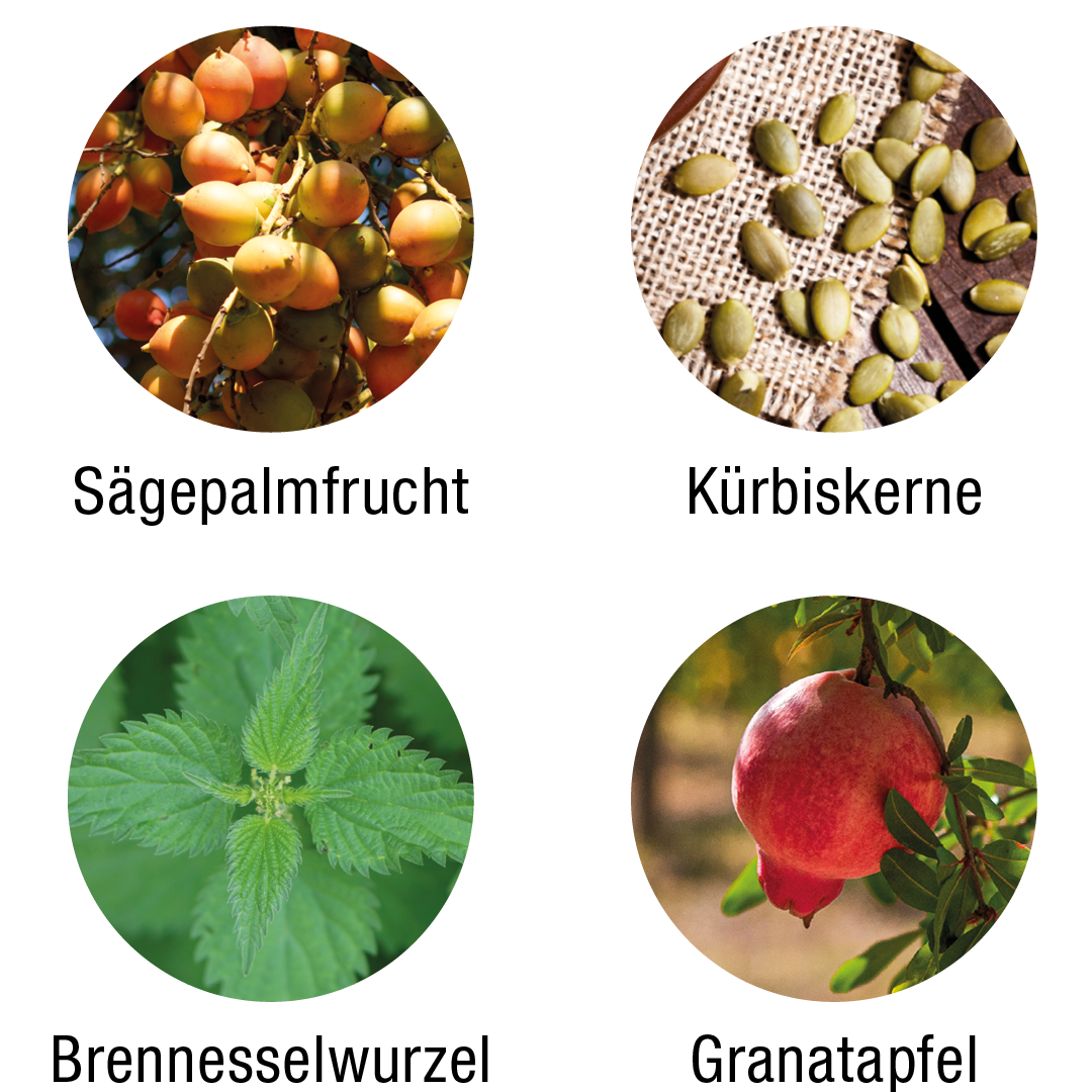 Rohstoffbilder von Sägepalmfrucht, Kürbiskerne, Brennnesselwurzel und Granatapfel