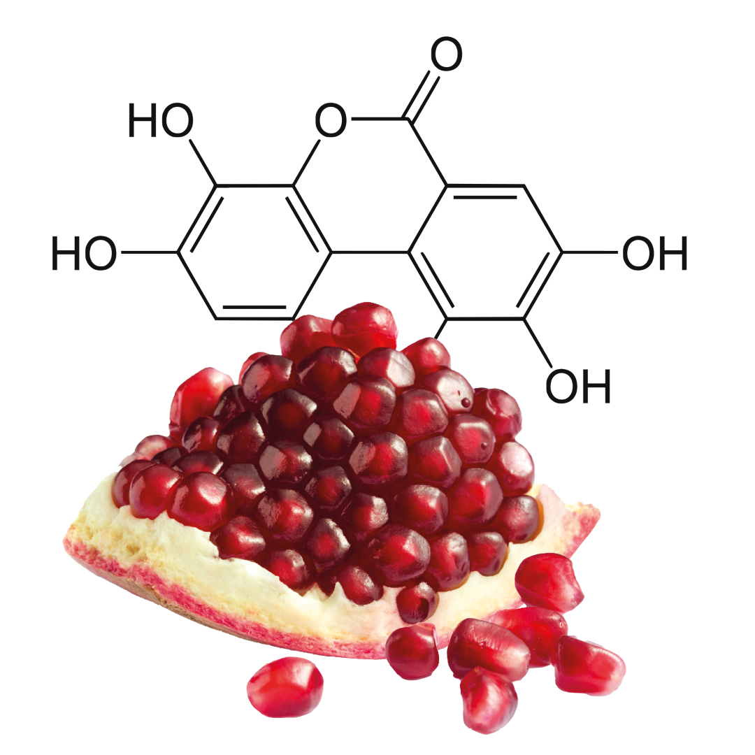 Ein Stück Granatapfel mit Kernen, im Hintergrund eine chemische Strukturformel.