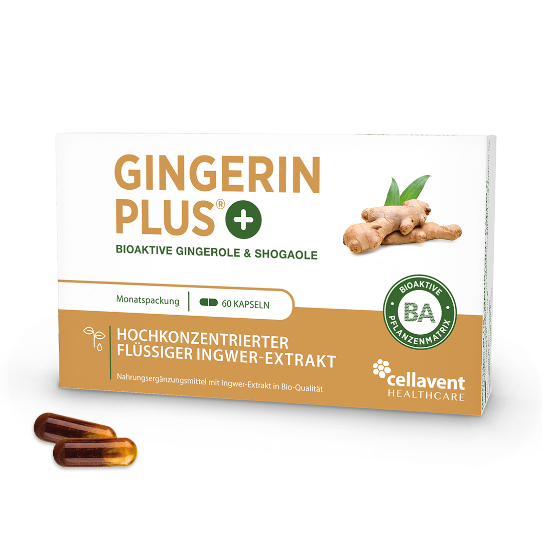 Gingerin PLUS Verpackung mit zwei braunen Kapseln im Vordergrund