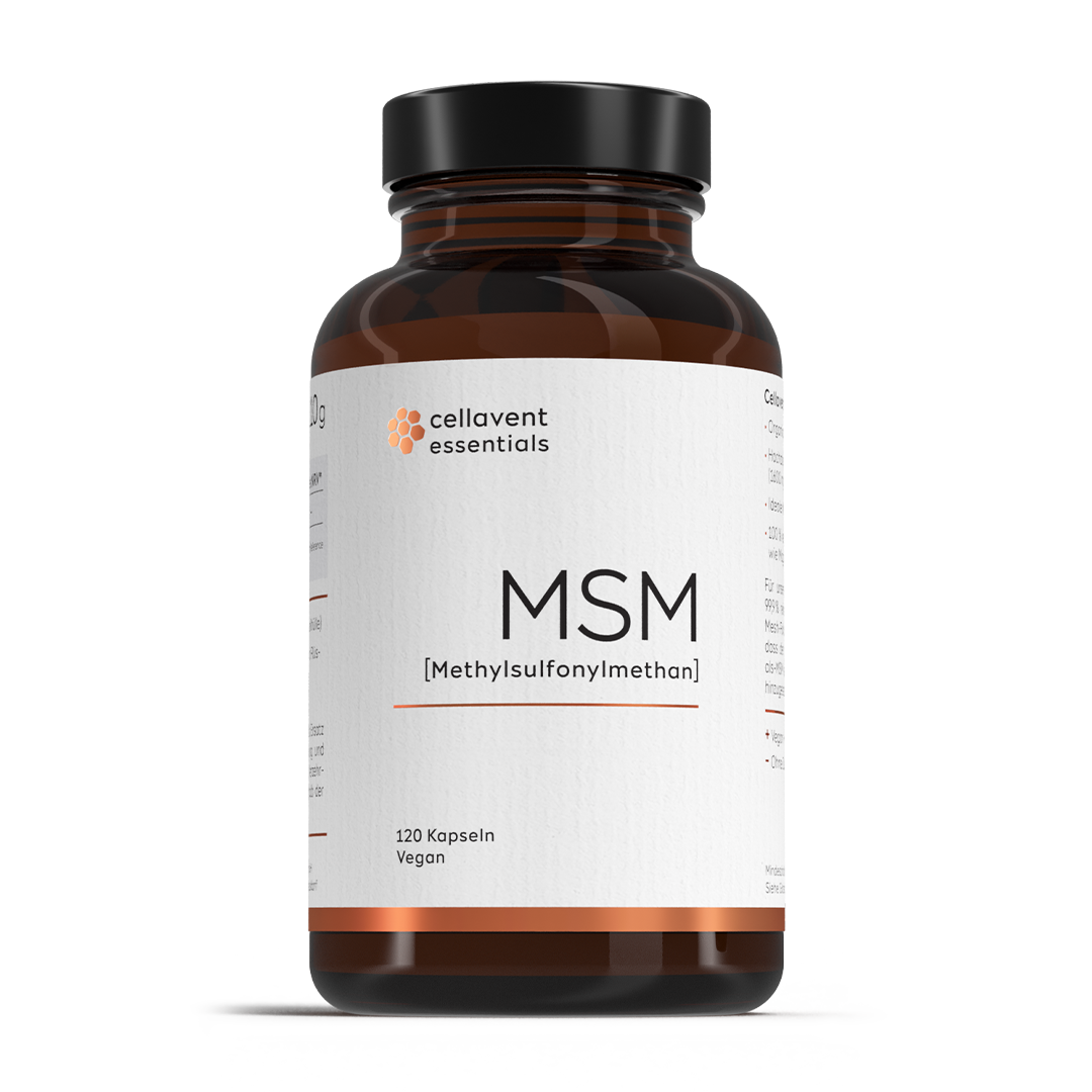 MSM Kapseln [Methylsulfonylmethan]