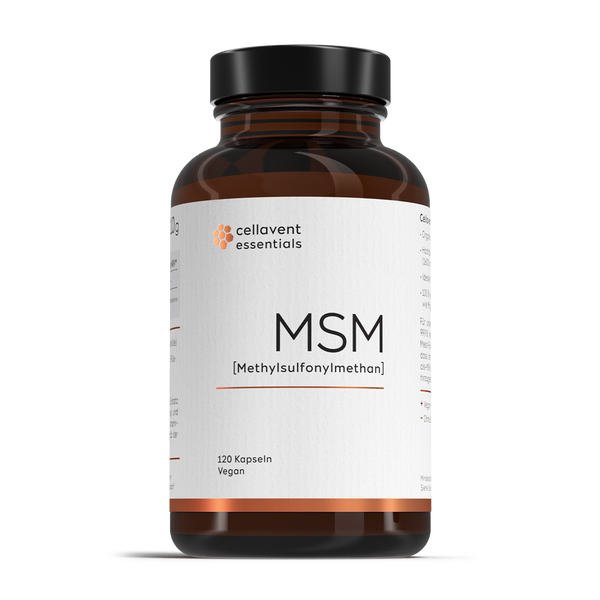 MSM Kapseln [Methylsulfonylmethan]