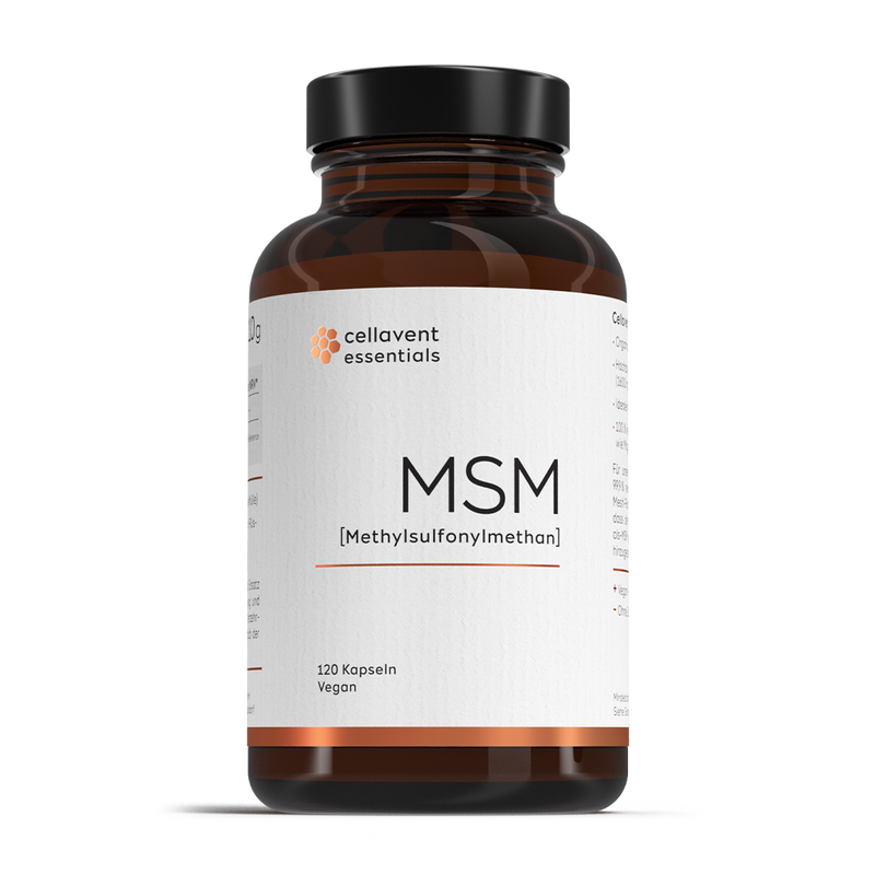 MSM Kapseln [Methylsulfonylmethan]