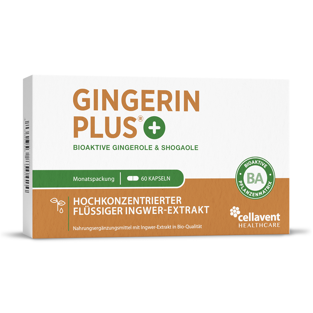 Bioaktiver Ingwer-Extrakt - Gingerin PLUS