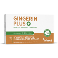 Bioaktiver Ingwer-Extrakt - Gingerin PLUS