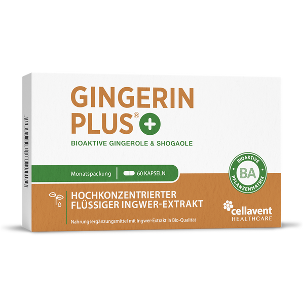Bioaktiver Ingwer-Extrakt - Gingerin PLUS