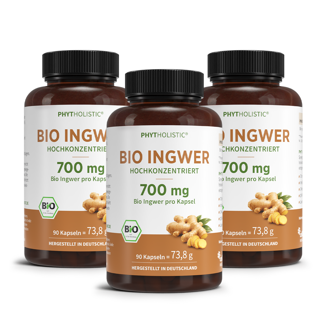Bio Ingwer Phytholistic - Cellavent Healthcare