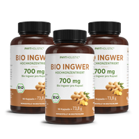 Bio Ingwer Phytholistic - Cellavent Healthcare