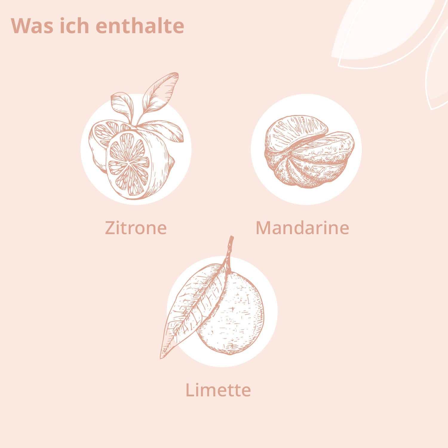 Bio - Fühl Dich Wohl Raumspray - Cellavent Healthcare