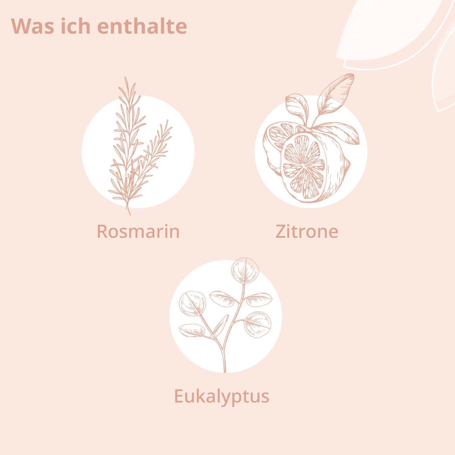 Bio - Lern Wohl Raumspray - Cellavent Healthcare