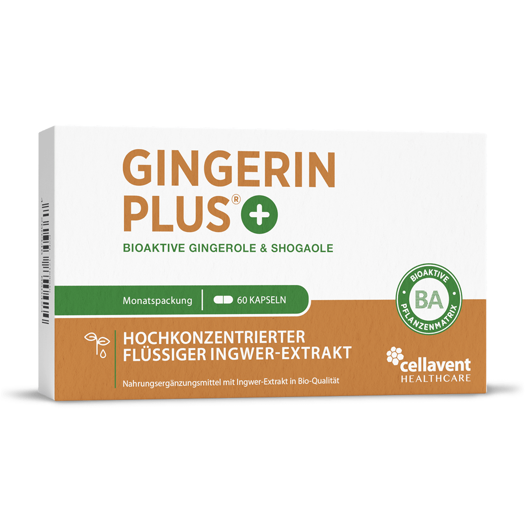 Bioaktiver Ingwer - Extrakt - Gingerin PLUS - Cellavent Healthcare