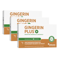 Bioaktiver Ingwer - Extrakt - Gingerin PLUS - Cellavent Healthcare