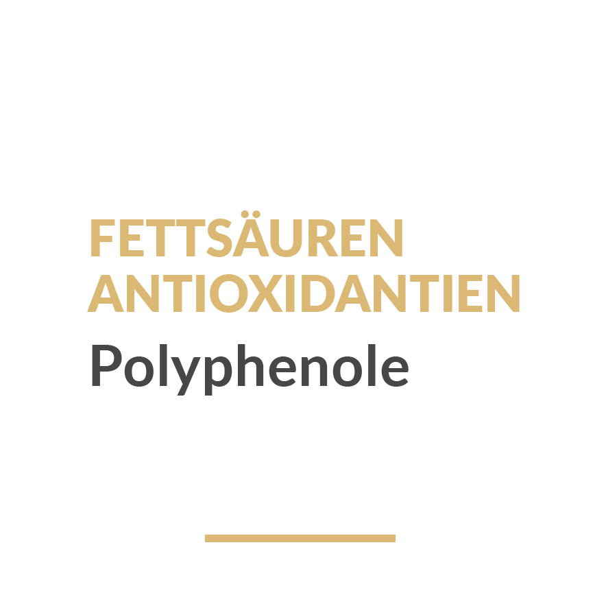 Die Wörter Fettsäuren, Antioxidantien und Polyphenole stehen untereinander. Fettsäuren und Antioxidantien wurden in gold geschrieben. Die Schriftfarbe von Polyphenole ist schwarz.