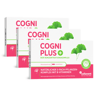 Ginkgo Kapseln mit Bacopa & Ginseng – Cogni PLUS - Cellavent Healthcare