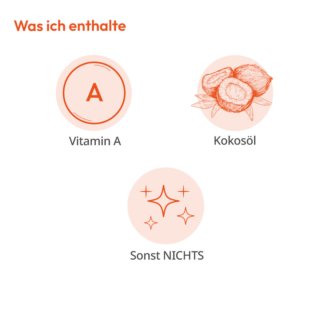 Drei Icons in Kreisen: Großes "A", Kokosnüsse, uns Sterne