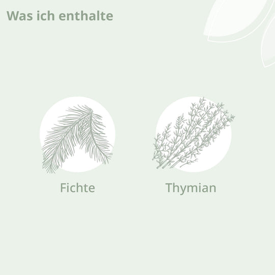 Darstellung der Inhaltsstoffe: Fichte und Thymian