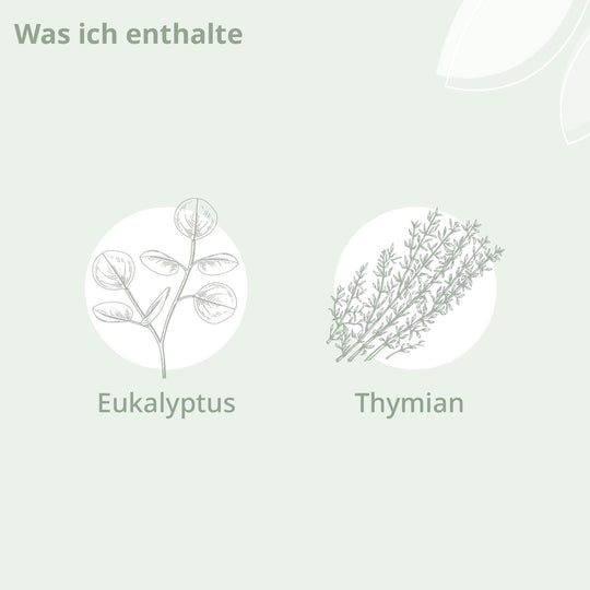 Darstellung der Inhaltsstoffe: Eukalyptus und Thymian