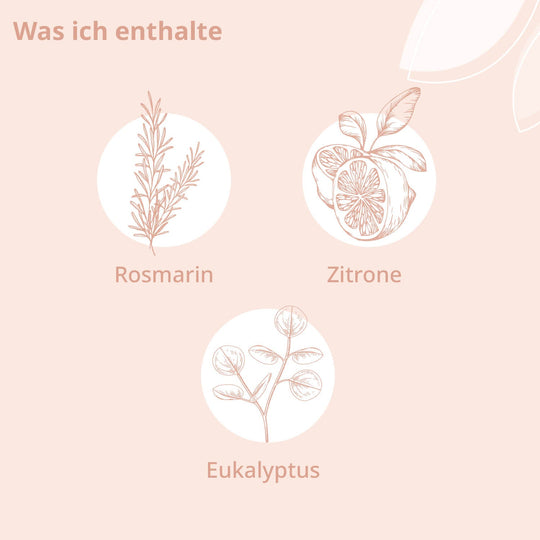 Darstellung der Inhaltsstoffe: Rosmarin, Zitrone, Eukalyptus