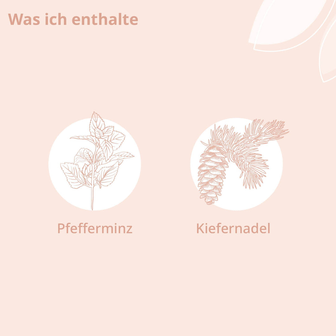 Visualisierung der Inhaltsstoffe: Pfefferminz und Kiefernadel