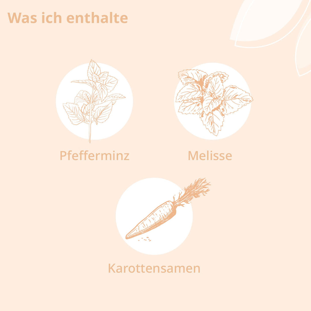 Inhaltsstoffe: Pfefferminz, Melisse, Karottensamen