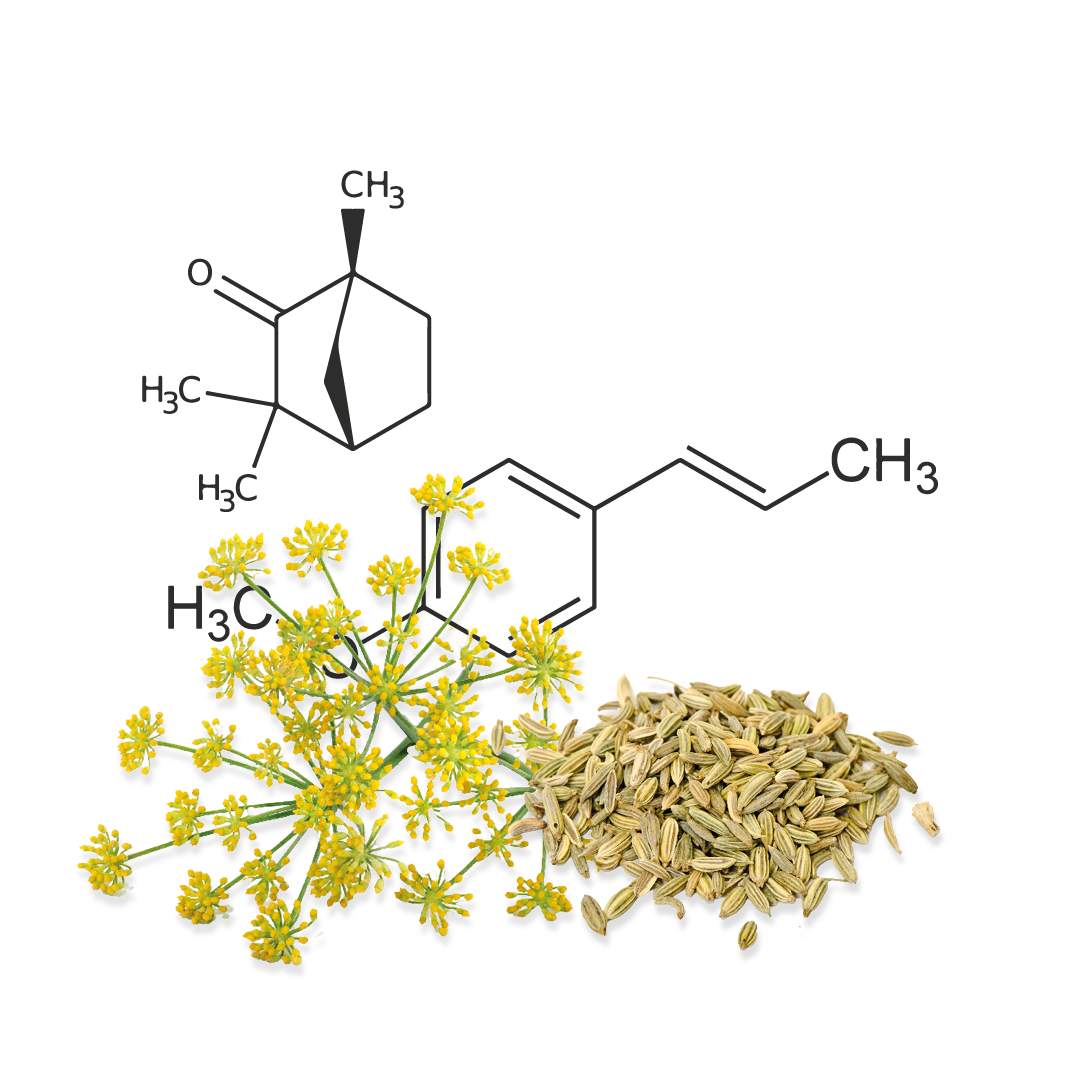 Fenchelblüten mit Fenchel als Rohstoff sowie zwei chemische Formeln im Hintergrund