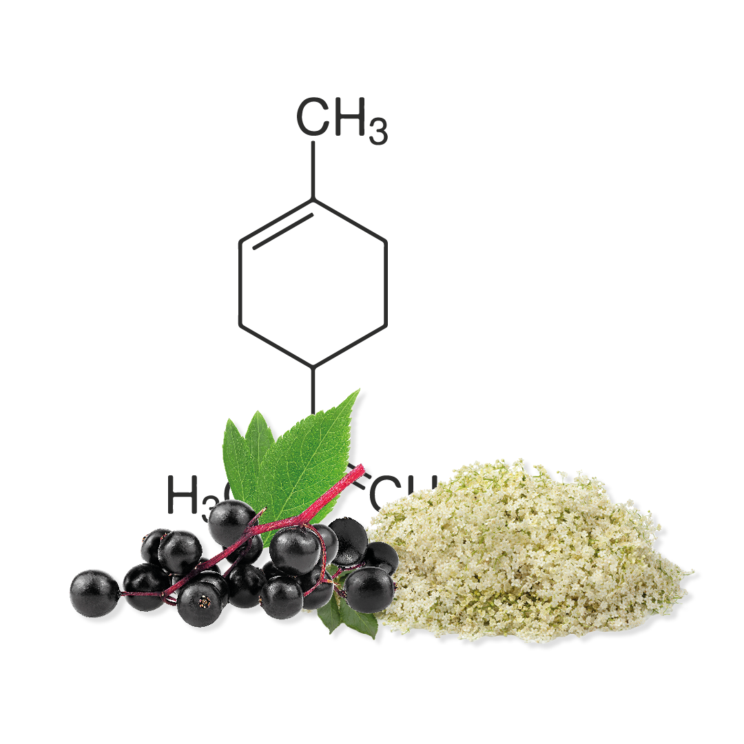 Tiefvioletten Beeren des Holunders mit Holunder Rohstoff und einer chemischen Formel im Hintergrund