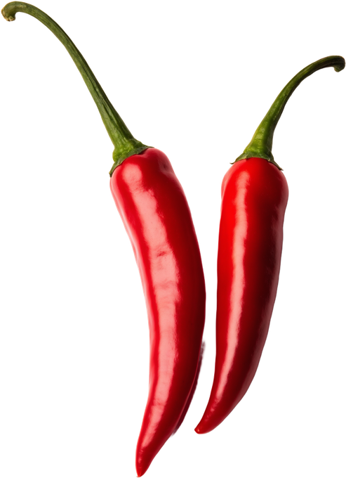 Chilischote