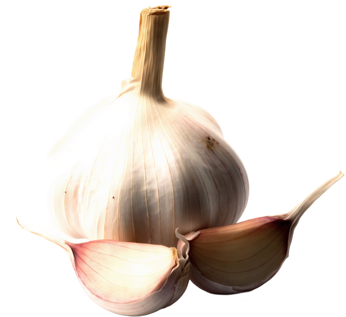 Knoblauch