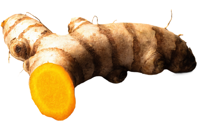 Kurkumawurzel