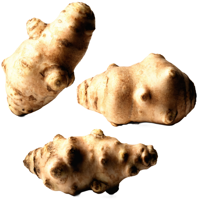 Topinamburpulver
