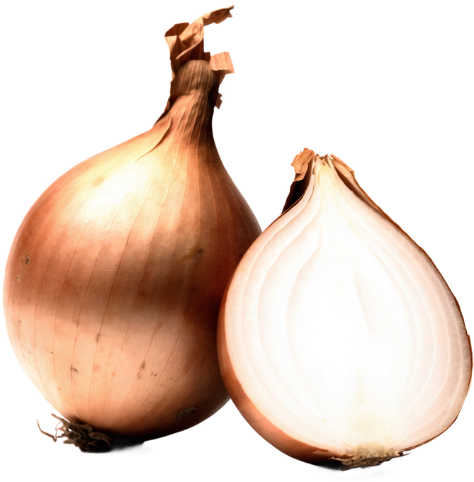 Zwiebel