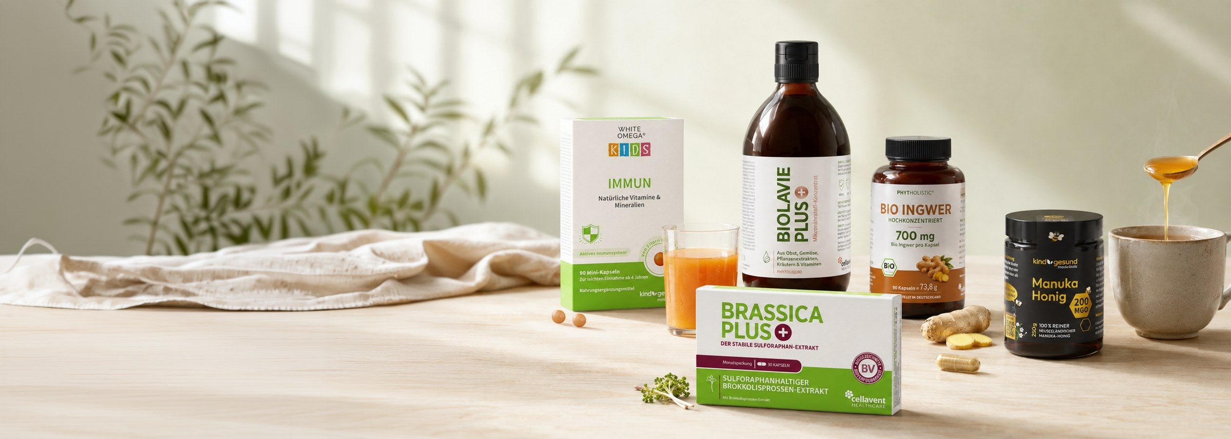 Cellavent Immun-Produkte: WHITE OMEGA Kids Immun, BiolaVie PLUS, Bio Ingwer, Brassica PLUS und Manuka Honig
