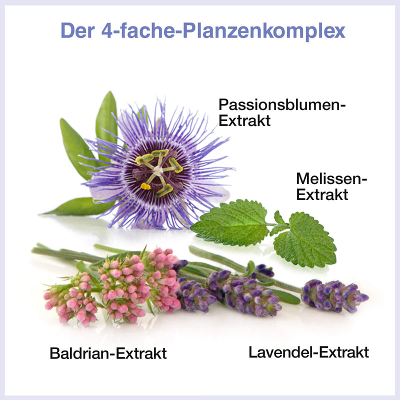 abgebildet sind die Pflanzenextrakte von Melatonin PLUS: Melissen, Lavendel, Baldrian, Passionsblume
