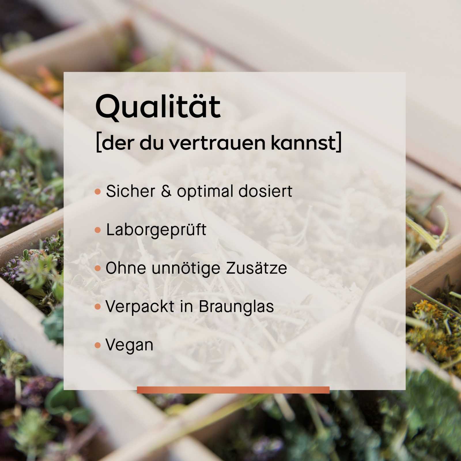 Montmorency Kapseln [Sauerkirsche mit Vitamin C] | Cellavent essentials - Cellavent Healthcare
