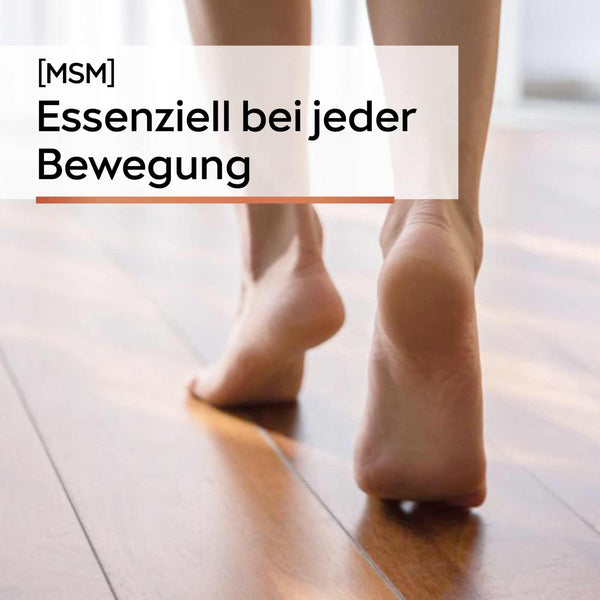 MSM Kapseln [Methylsulfonylmethan]