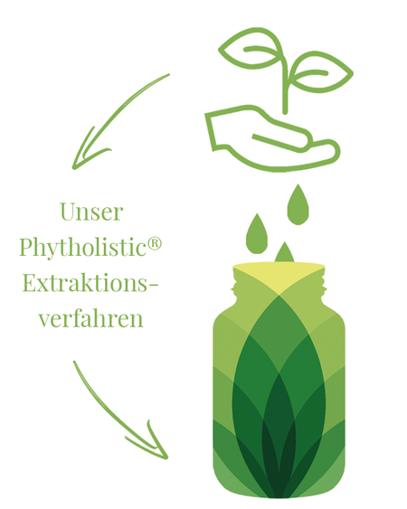 Das Phytholistic®-Verfahren: Die Extraktion reiner Pflanzenstoffe