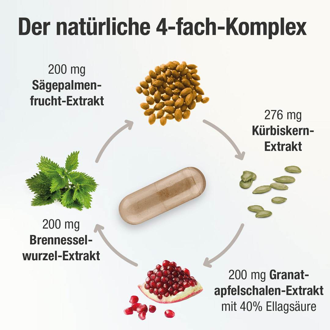 Prostata Komplex Kapseln - Prostavent PLUS - Cellavent Healthcare