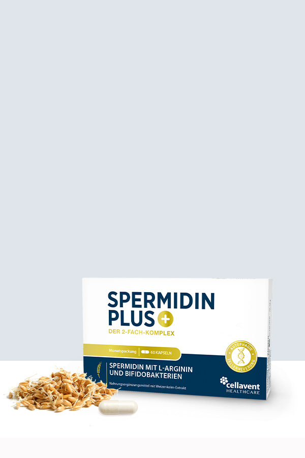 Spermidin Produktbild mit einer Kapsel und Weizenkeimen abgebildet