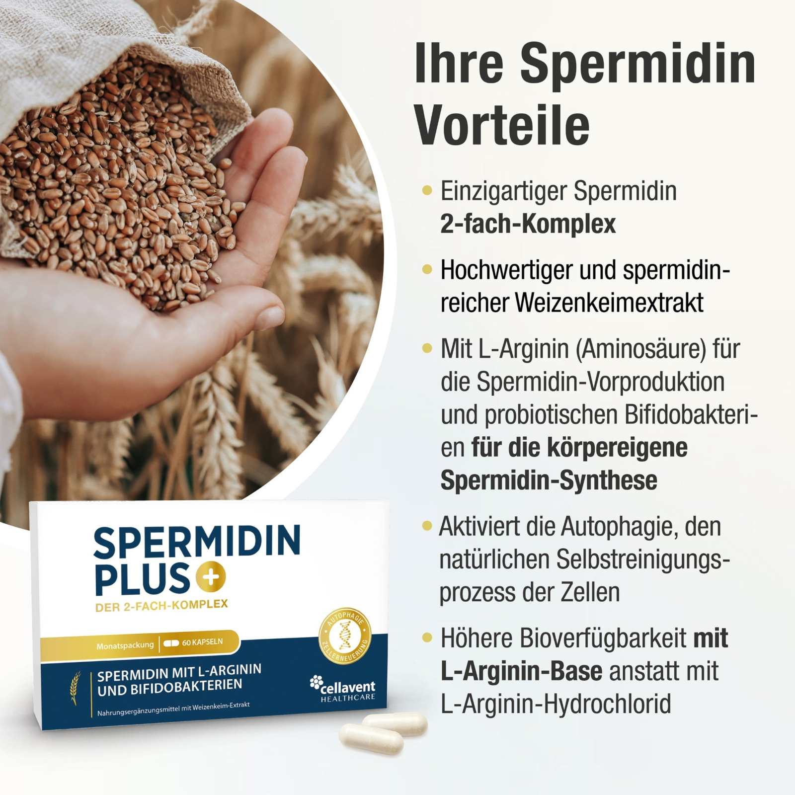 Weizenkeimextrakt - Kapseln mit 2 - fach Komplex - Spermidin PLUS - Cellavent Healthcare